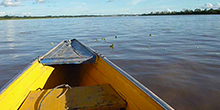 voyage en amazonie