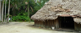 voyage en amazonie